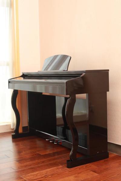 Self player Piano System for Digital Piano and Acoustic Piano wholesale - Select