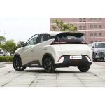 Performance BYD Seagull 2023 Flight Edition 405km Energy Vehicle EV 100%