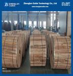 XLPE Bundled Insulated Aluminium Overhead Cable 0.6/1KV Triplex IEC60502-1