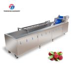 340KG Multi-functional vegetable washing machine large vegetable washing machine