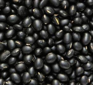 Wholesale black bean hull extract china black beans black bean extract/Glycinemax(L.)merr from china suppliers
