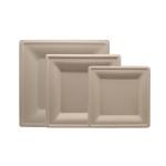 Square 8in Eco Products Home Compostable Sugarcane Plates Biodegradable