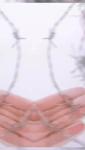 Special Design Widely Used Electro Galvanized Barbed Wire 50 KG Per Roll GI