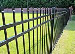 1.8 X 2.4m Wrought Iron Look Fence Black Powder Coated Galvanized Bar