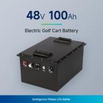 Swappable 4.8KWh Lithium Golf Cart Battery Pack For Low Speed Vehicle And Mini