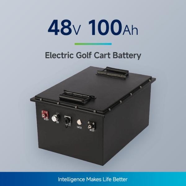 Swappable 4.8KWh Lithium Golf Cart Battery Pack For Low Speed Vehicle And Mini