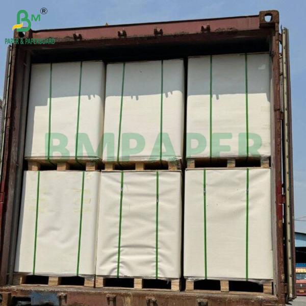 Frozen Food Paper 275gsm White Paperboard With 15g Moisture-Proof PE Gloss
