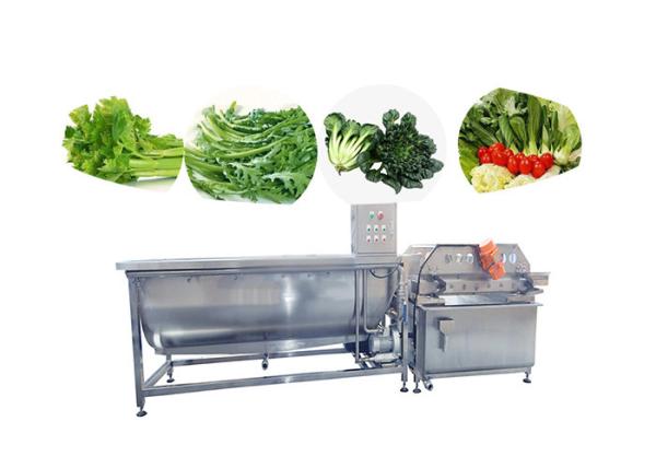 Bubbling Vegetable Fruit Washing Machine Salad Cleaning Frozen Vegetable Lettuce