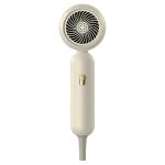 Customizable Hair Dryer with 21000RPM Brushless DC Motor and Fast Drying Speed