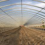 Galvanized Steel Single-span Tunnel Greenhouse for Growing Vegetables Fruits