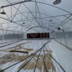 10x50m Polytunnel Berry Poly High Tunnel Greenhouse Film Tunnel Greenhouse Kit