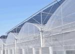 Strong Structure Polyethylene Film Greenhouse Thickness 0.12 / 0.15 / 0.20mm