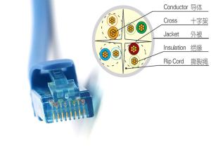Wholesale Transmission High Speed 23AWG 3 ft Shielded Cat6 Patch Cables UTP Ethernet Cable 50 Micron Gold Plated from china suppliers