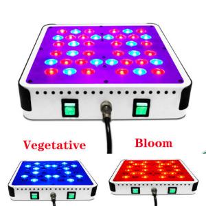 Wholesale 200w new 5 watt epistar leds Full Spectrum High Power LED Plant Growing Light from china suppliers