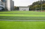 China Stem Shape Artificial Football Pitches With 16.5 Stitches For Efficient