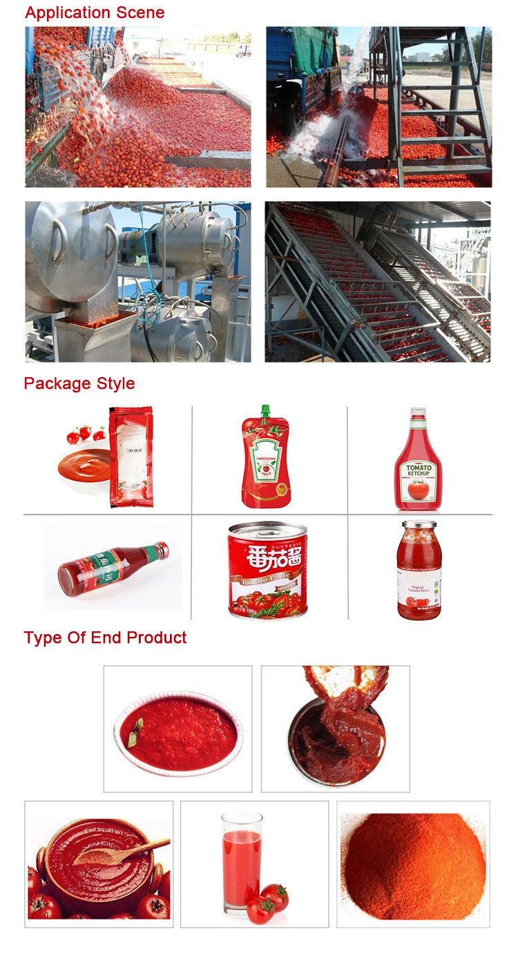 SS304 Tomato Processing Line 20T/H Ketchup Processing Line High Performance