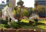 Outdoor Dinosaur Skeleton Model , Customized T Rex Skull Replica Full Size
