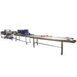 Automatic Berry Dates Tomato Apple Lemon Washer Strawberry Carrot Mango Pepper
