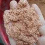 Automatic Cable Granulator Copper Shredder Small Waste Cable Scrap Copper Wire