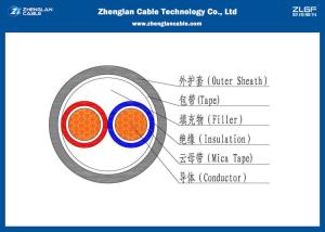 Wholesale Low Voltage Unarmoured Fire Resistant Power Cable / 0.6/1KV 2 Core Heat Resistant Cable (LSZH/ NYY/N2XY/) from china suppliers