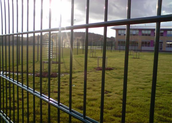 656, 868mm twin wire fence rather a rigidity, Hot Dipped Galvanized Then Powder