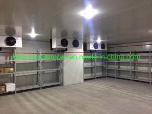 Wholesale 5 Ton Walk-in Solar Powered Cold Storage Room Door Lock Equipment and Cold Room Panel from china suppliers