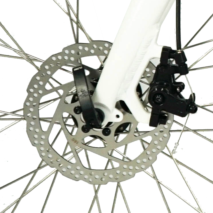 36V 250W Cycle E Bike Bicycle for Smooth City Commuting N.G. 18.6 kg Wheel Size Kenda