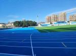 High Durability Smooth Rubber Speed Running Track For Athletic Facilities