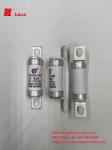 Electric Vehicle Fuse For Traction System Energy Storage And Olted 750VDC 25A
