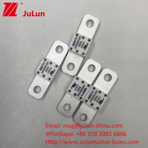 300A 125VDC Ceramic Fuse High Breaking Capacity Under 125Vdc Automotive For
