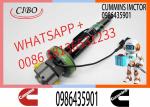 QSK19 Injector 2867147 2867147NX 2881088 2882077 4964170 4964172 F00BJ00001