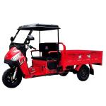 Powerful Engine Cool Airtogo Cargo Tricycle 110cc 150cc for 1 Passenger Standard