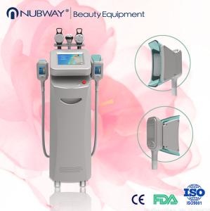 Wholesale High Quality Cryolipolysis Slimming Machine/Fat Reduction Cryolipolysis from china suppliers