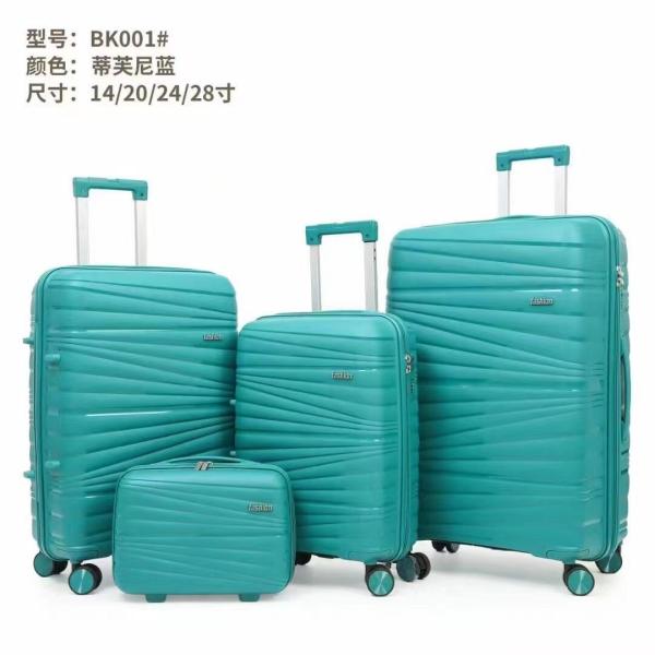 New Hot Sale Product Custom 14 Inch 20 Inch 24 Inch 28 Inch Rolling PP Luggage
