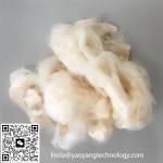 Premium Soy Bean Fiber with Mild Flavor and High Protein Content