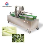 350KG 2.2KW Winter Melon Wax Gourd Vegetable Peeling Machine Horizontal Kitchen