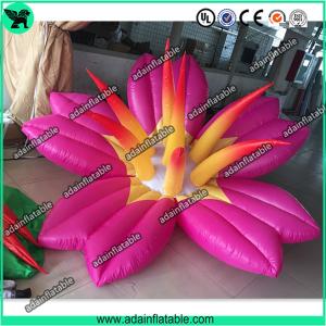 Wholesale Pink Inflatable Flower With LED Light，Event Party Inflatable Flower Customized from china suppliers