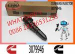 Genuine Engine Spare Parts STC 3079946 3079947 3087587 3095773for Cummins KTA19