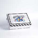 Eco-friendly Single Side Coating Rigid Cardboard Shoe Storage Box for Spot Goods