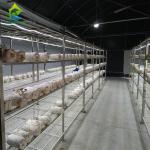 Medical Herb Growing Blackout Automatic Greenhouse Light Deprivation For