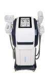 Fat Removal Cryolipolysis Fat Freeze Slimming Machine EMS Cryo Body Sculpting