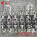 EV Electric Vehicle Fuse For DC750V FUSE DC750V 10A 15A 20A 25A 30A For