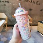 OEM ODM 550ml Plastic Tumblers With Lids And Straws BPA Free