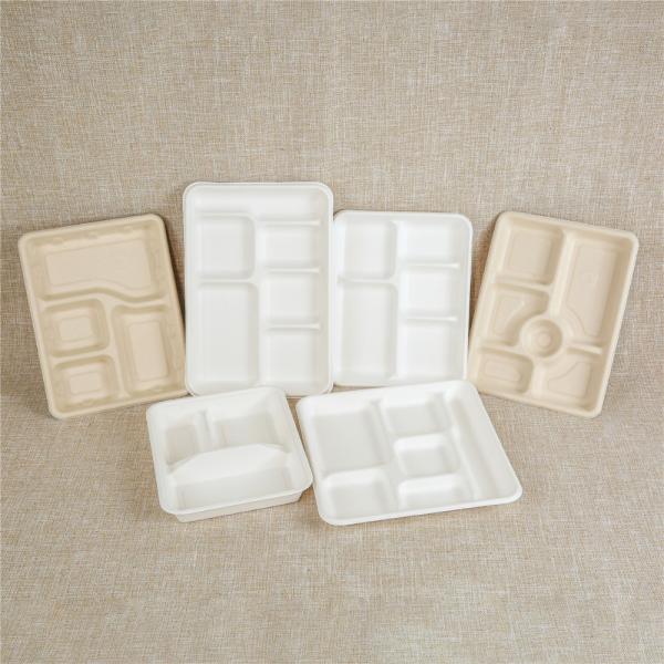 2 3 4 Compartment to Go Takeaway Packaging Biodegradable Take Away Paper Food Container with Bio Lid