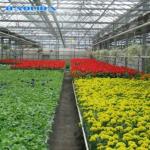 Polyethylene Film Multi Span Greenhouse 100 Micron 200 Micron Multi Span