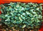 Crop IQF Frozen Broccoli And Frozen Vegetables Quick Frozen Foods