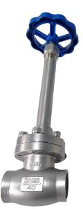 Wholesale SW Connection SS304 DN25 Cryogenic Globe Valve 5.0MPa Working Pressure from china suppliers