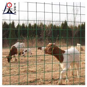 Wholesale Pvc Coated Welded Wire Mesh Garden Fence Galvanized Steel Welded Mesh from china suppliers