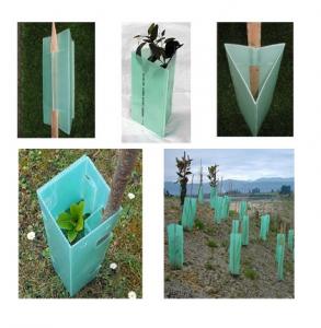 China Anti UV PP Corrugated Plastic Tree Shelter 2-6mm ShockProof on sale
