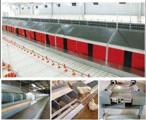 China Easy Operate Poultry Farm Automatic Laying Nest PP on sale